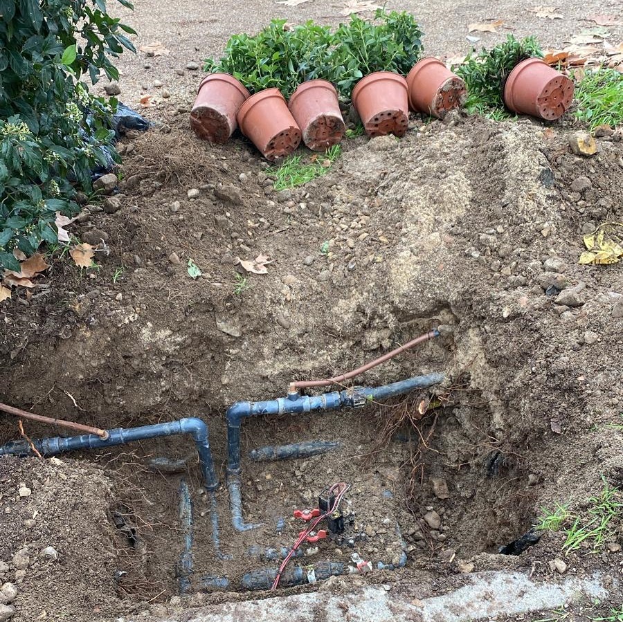 Plantación de arbustiva y renovación integral del sistema de riego en el camino principal del Paseo de los Chopos