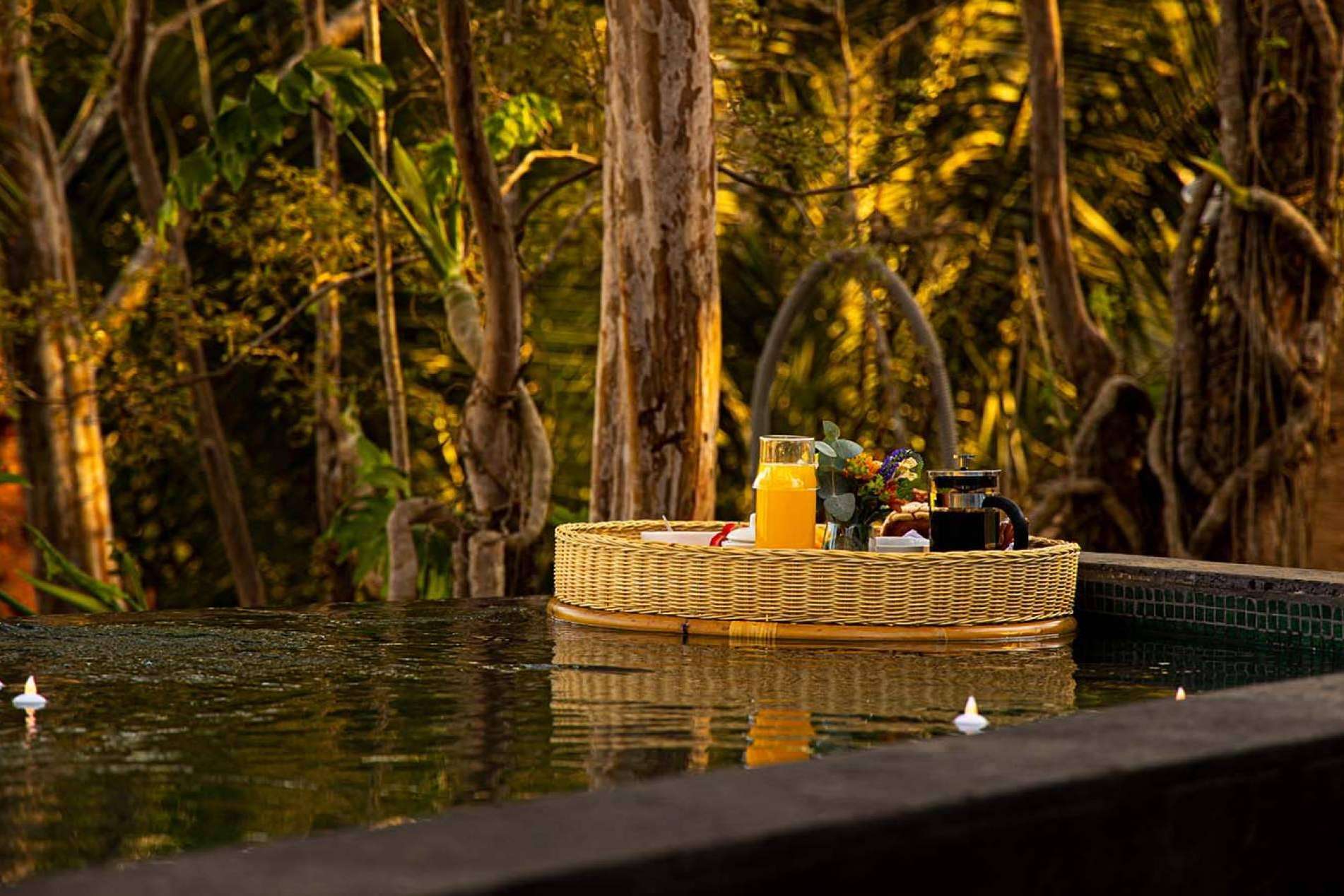 Cabo Real Luxury Glamping; El nuevo estándar del lujo en la naturaleza mexicana