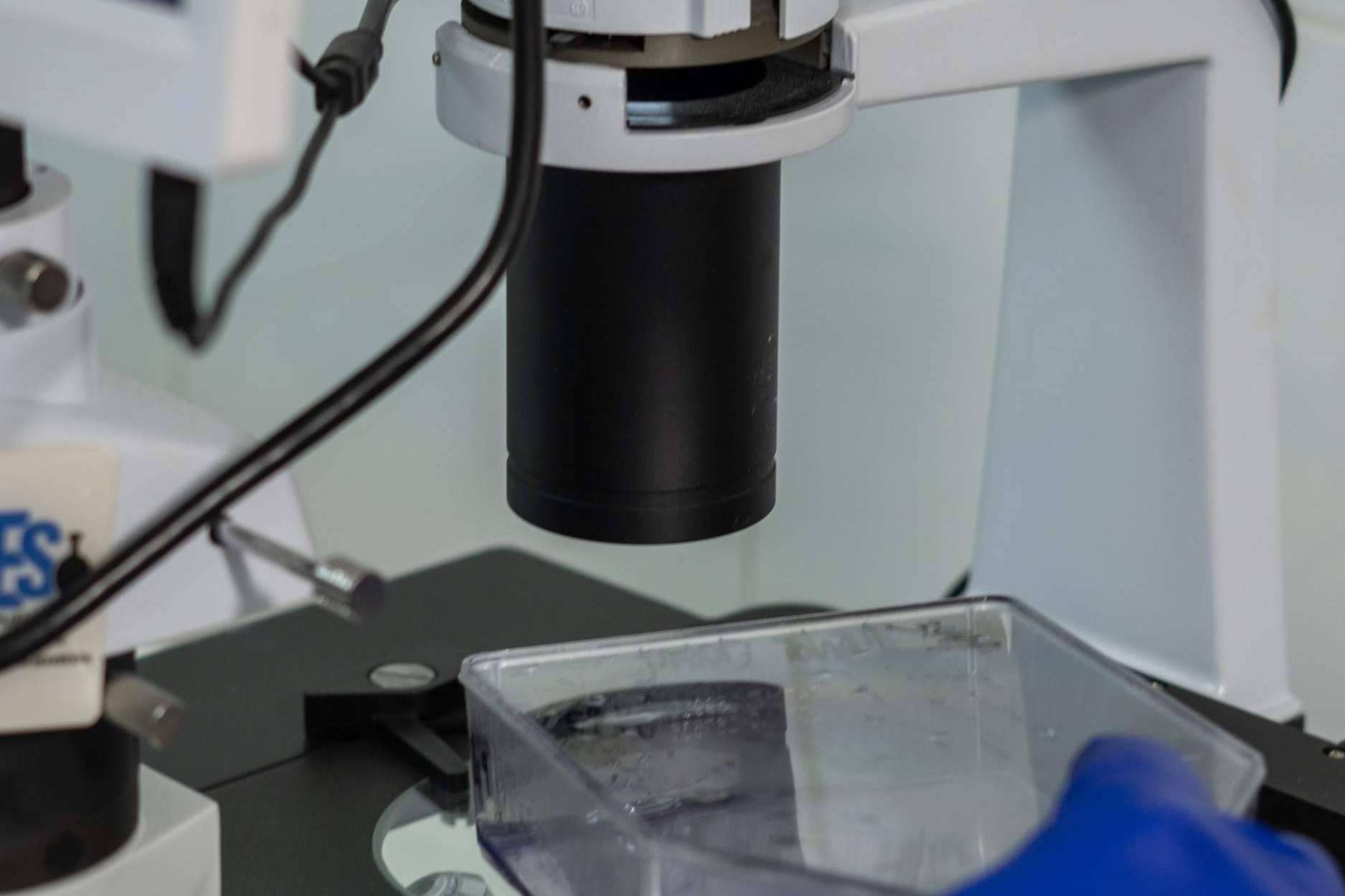 La importancia de lograr un tratamiento avanzado en cáncer y no conformarse con indicaciones básicas o no personalizadas